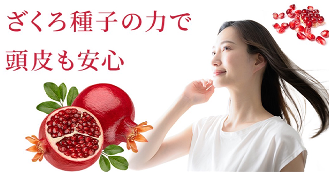 輝髪ザクロペインター